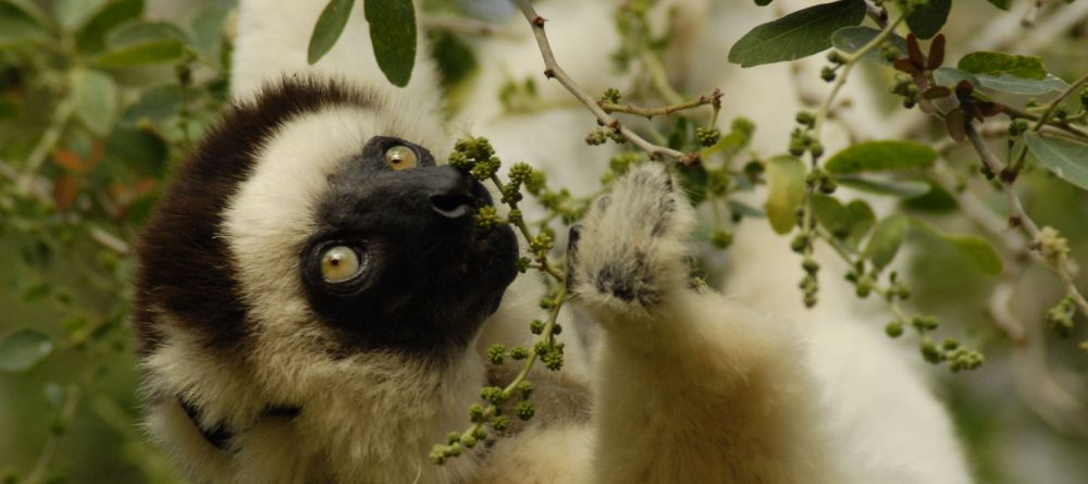 Sakatia Lodge, Nosy Be, Madagascar - Image 6
