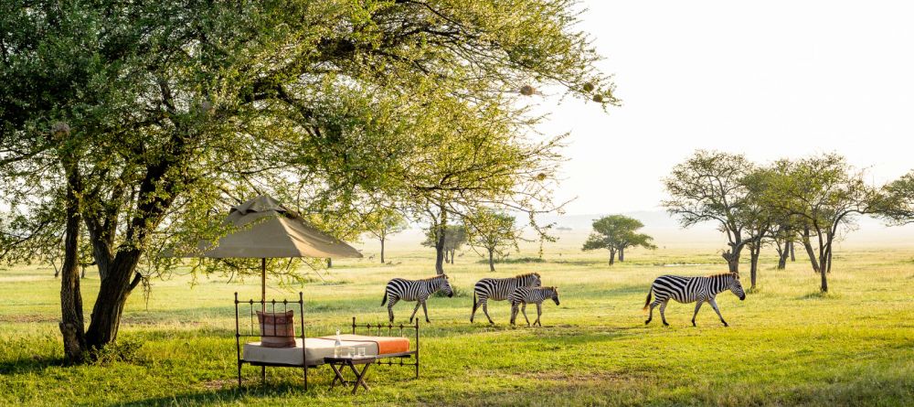 Sabora Tented Camp, Grumeti Private Reserve, Tanzania - Image 8