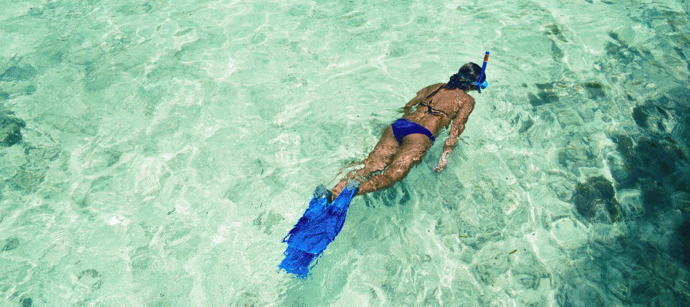 Snorkeling off the beach at New Emerald Cove, Praslin, Seychelles - Image 3