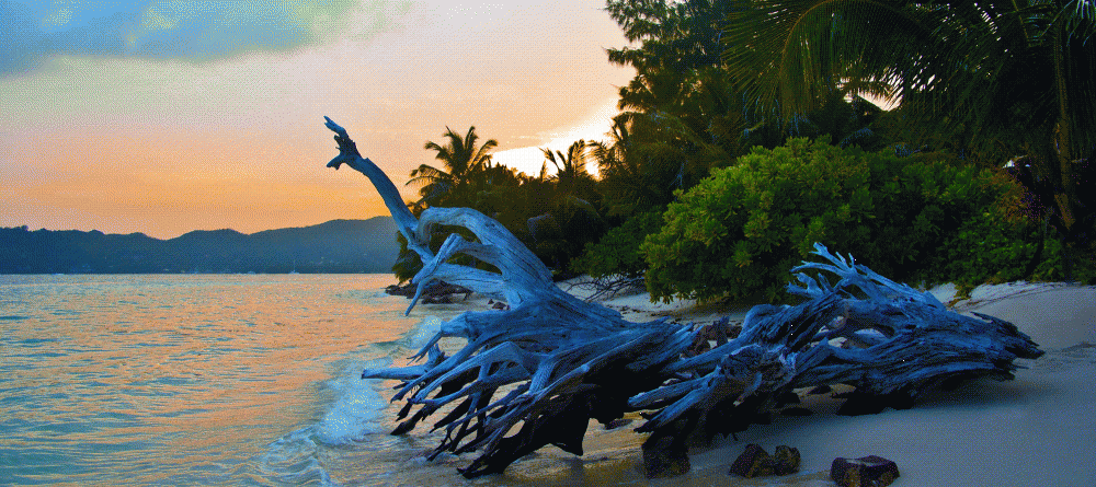 The sunset on the beach at New Emerald Cove, Praslin, Seychelles - Image 6