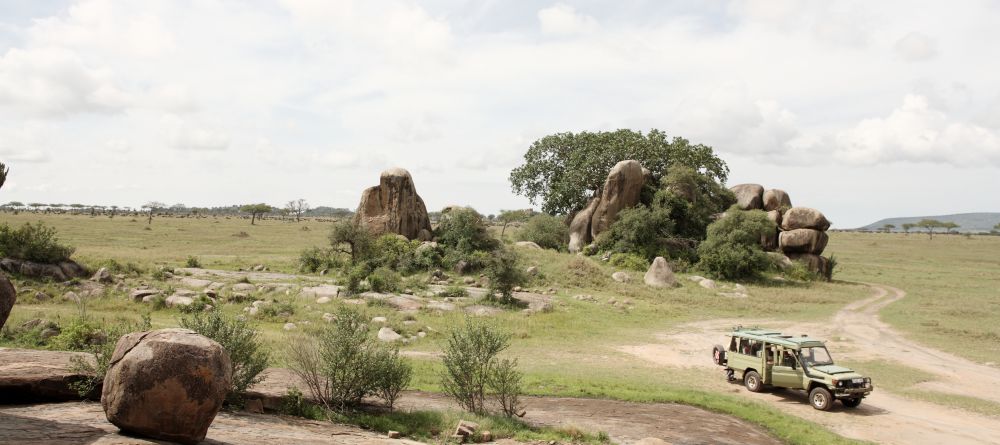 Game drive at Dunia Camp, Serengeti National Park, Tanzania - Image 7