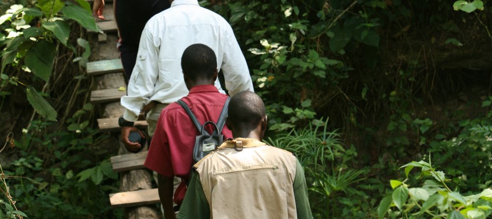 A jungle walk at Gombe Forest Lodge, Gombe National Park, Tanzania - Image 4