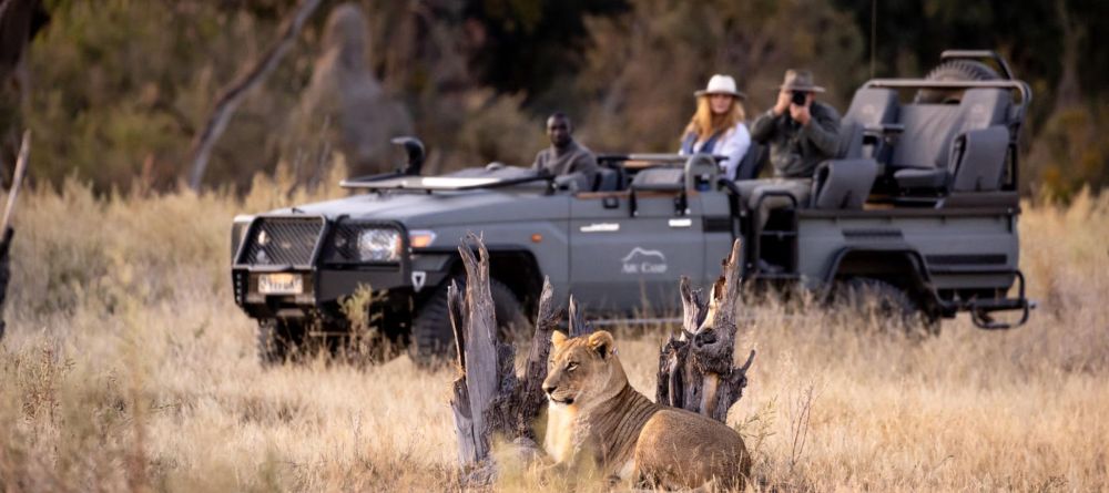 Abu Camp, Okavango Delta, Botswana - Image 16