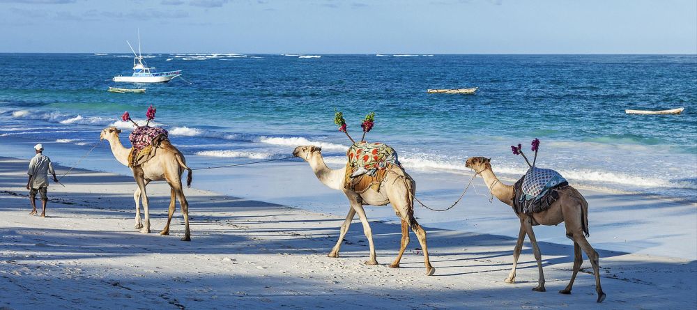 AfroChic Diani - Image 2