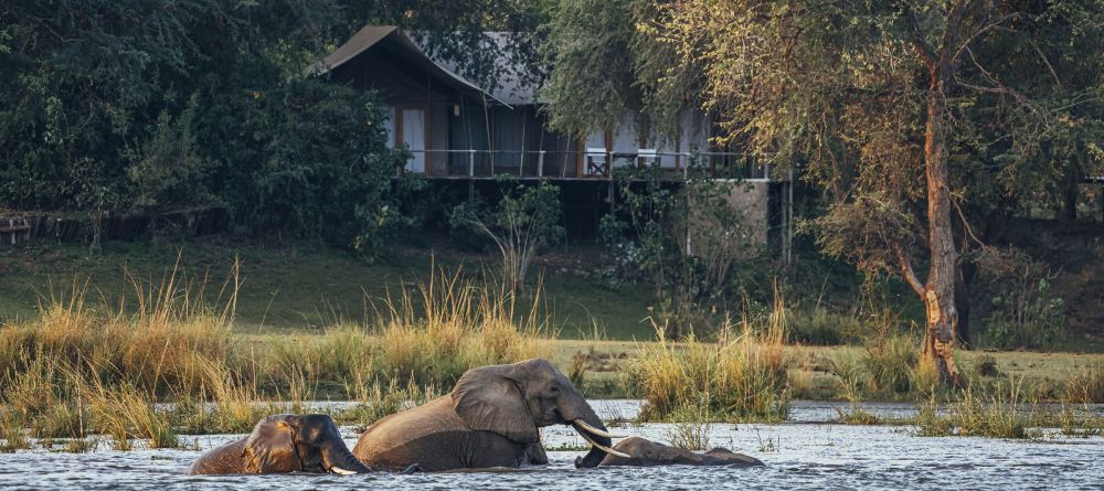 Anabezi Camp - Image 14