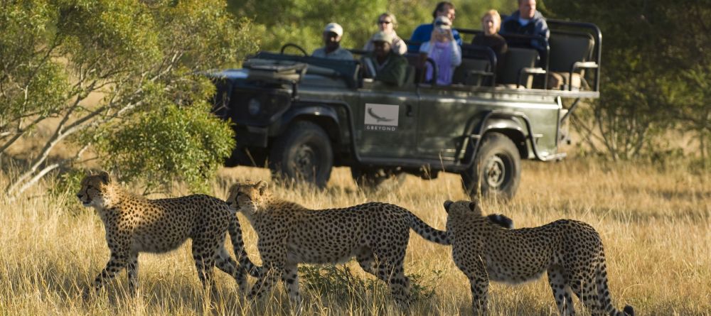 Ngala Tented Camp, Kruger National Park, South Africa © AndBeyond - Image 12