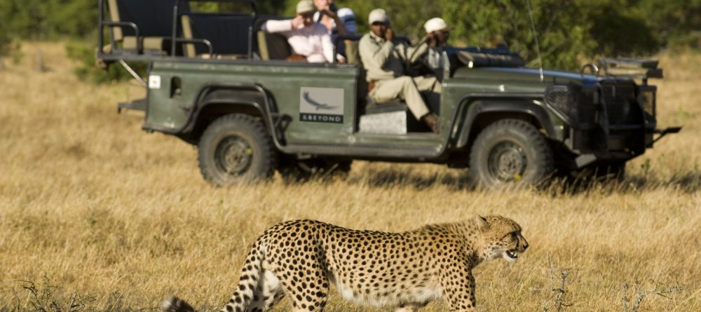 Ngala Safari Lodge, Kruger National Park, South Africa © AndBeyond - Image 7