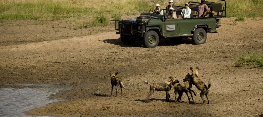 Ngala Safari Lodge, Kruger National Park, South Africa © AndBeyond - Image 8