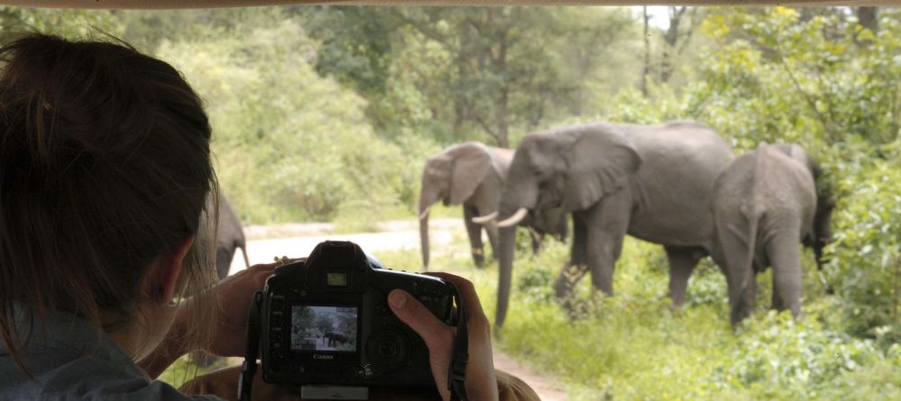 Lake Manyara Tree Lodge, Lake Manyara National Park, Tanzania - Image 10