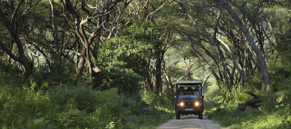 Lake Manyara Tree Lodge, Lake Manyara National Park, Tanzania - Image 11