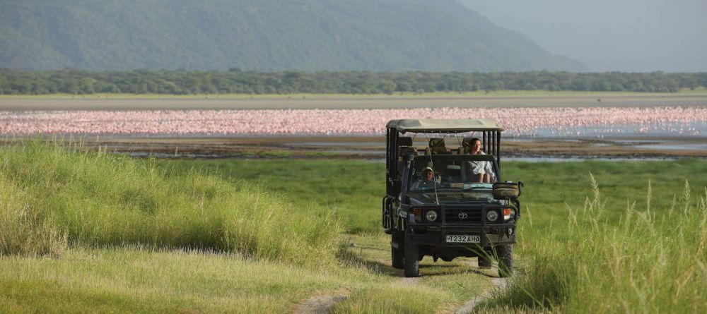 Lake Manyara Tree Lodge, Lake Manyara National Park, Tanzania - Image 8