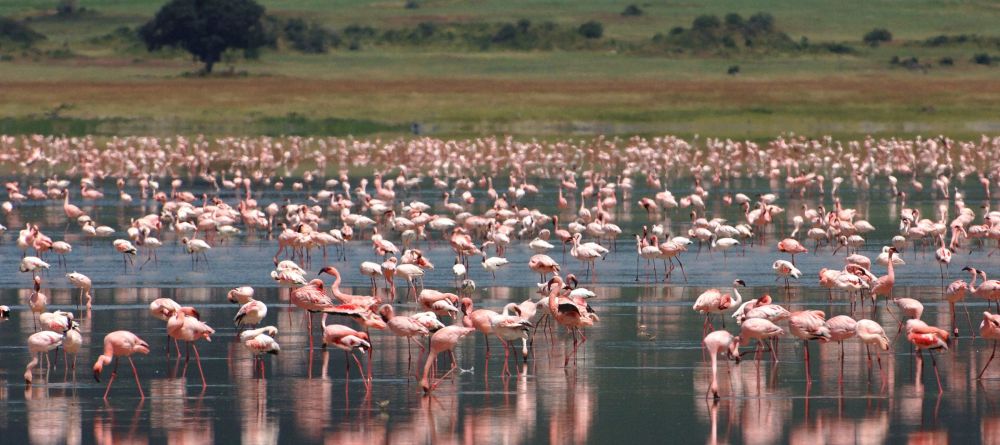 Ngorongoro Farm House, Karatu, Tanzania - Image 1
