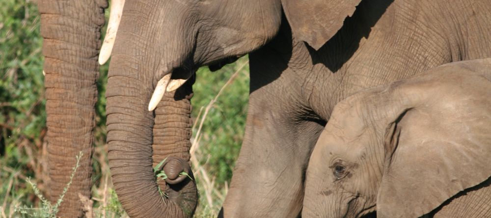 Apoka Safari Lodge, Kidepo Valley National Park, Uganda - Image 7
