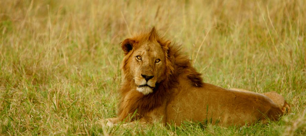Apoka Safari Lodge, Kidepo Valley National Park, Uganda - Image 9