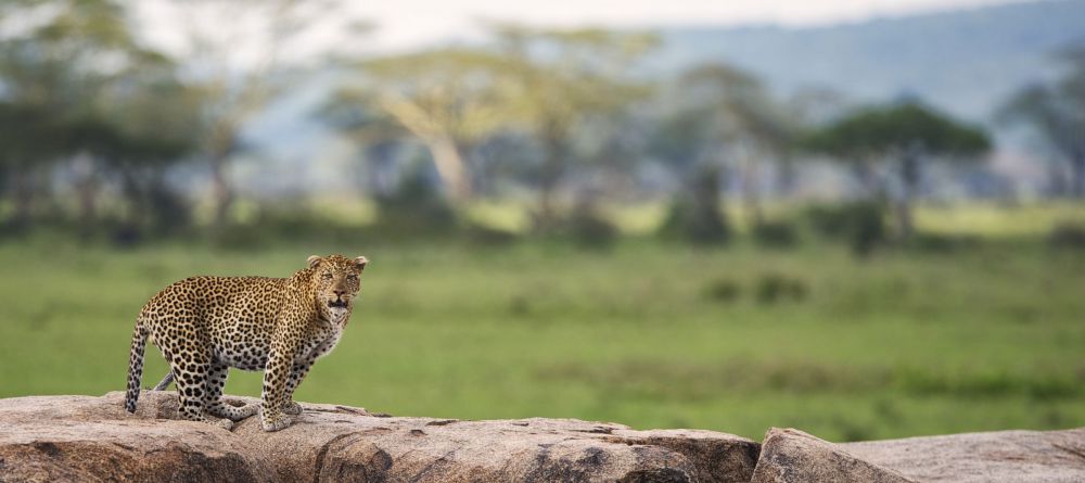 Nomadic Camp, Masai Mara National Reserve, Kenya - Image 16