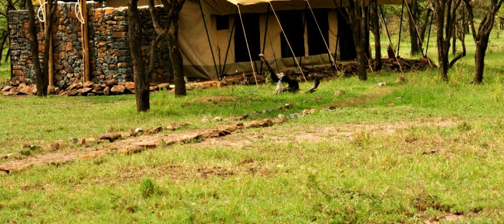 Camp setting at Naboisho Camp, Masai Mara National Park, Kenya - Image 11