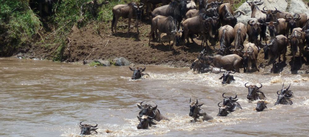 River Crossing - Image 6