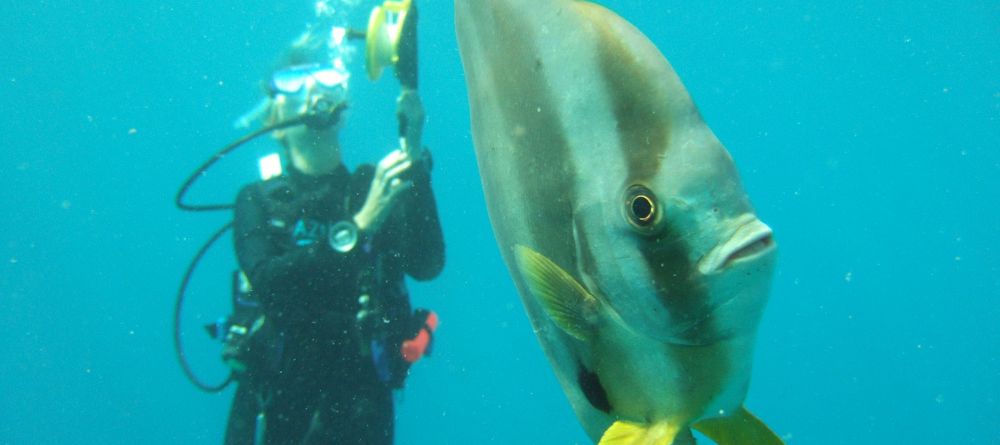 Azura Benguerra diving - Image 1