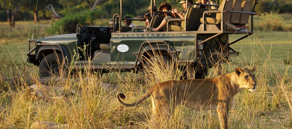 Kuyenda Bush Camp, South Luangwa National Park, Zambia - Image 8