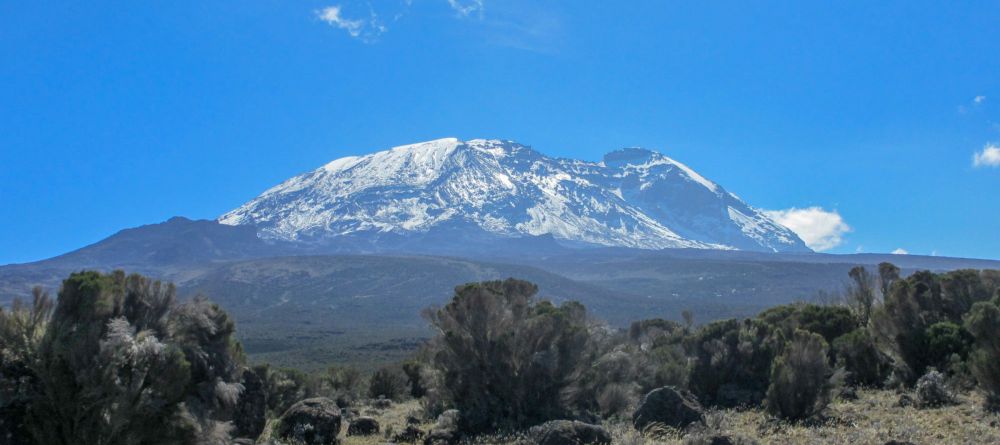 Lemosho Route, Kilimanjaro, Tanzania - Image 15