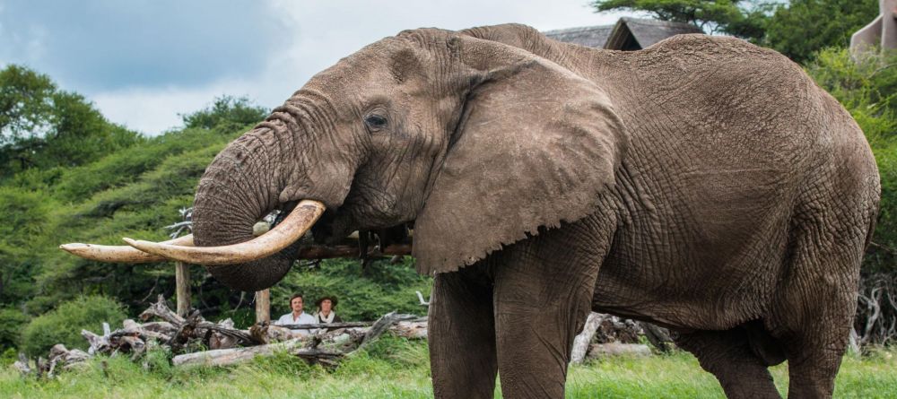 Ol Donyo Lodge, Chyulu Hills, Kenya - Image 18