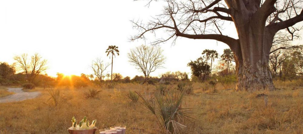 Delta Explorer Campsite, Okavango Delta, Botswana - Image 25