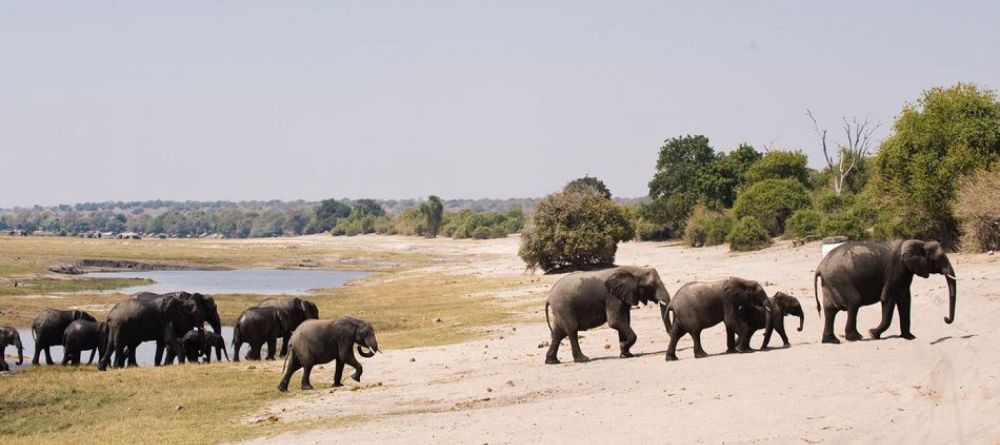 Delta Explorer Campsite, Okavango Delta, Botswana - Image 3