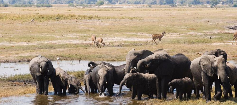 Delta Explorer Campsite, Okavango Delta, Botswana - Image 28
