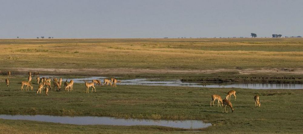 Delta Explorer Campsite, Okavango Delta, Botswana - Image 6