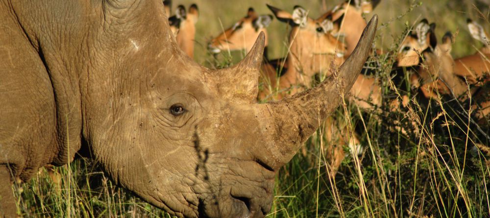 Black Rhino Lodge - Image 5