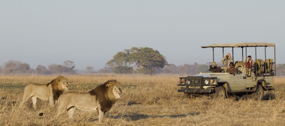Busanga Bush Camp, Kafue National Park, Zamiba Â© Martin Benadie - Image 8