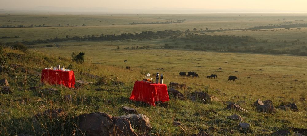 Breakfast in the bush at Naibor Camp, Masai Mara National Reserve, Kenya - Image 15