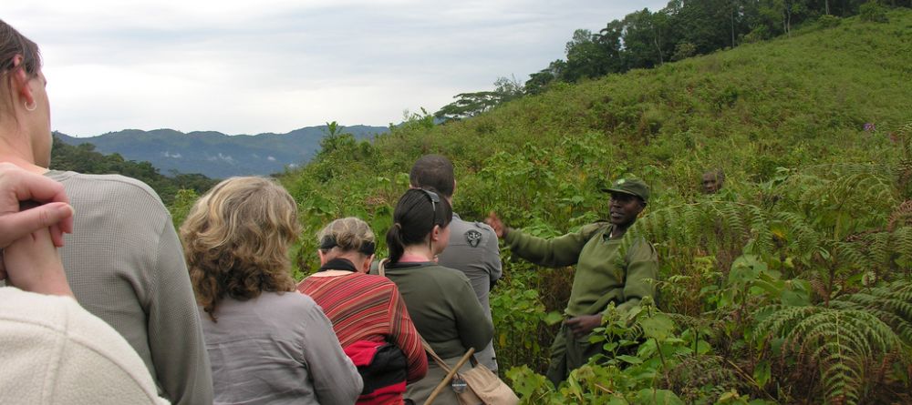 Trekking through the bush at Engagi Lodge, Bwindi Impenetrable Forest, Uganda - Image 9