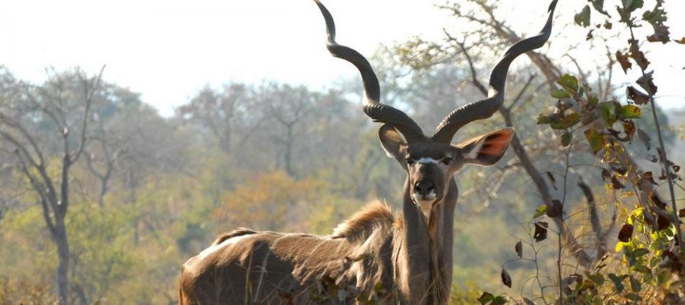 Sandibe Safari Lodge, Okavango Delta, Botswana - Image 20