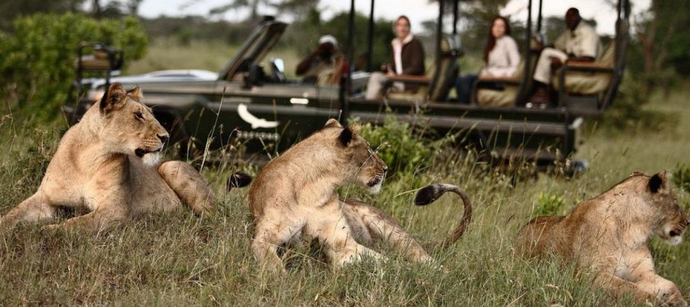 Sandibe Safari Lodge, Okavango Delta, Botswana - Image 17