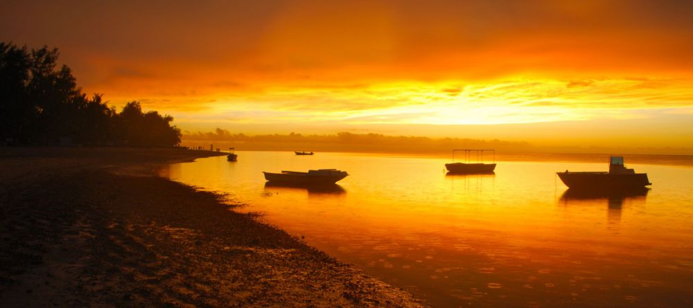 http://www.hyppocampo-tulear.com/index.html - Image 1