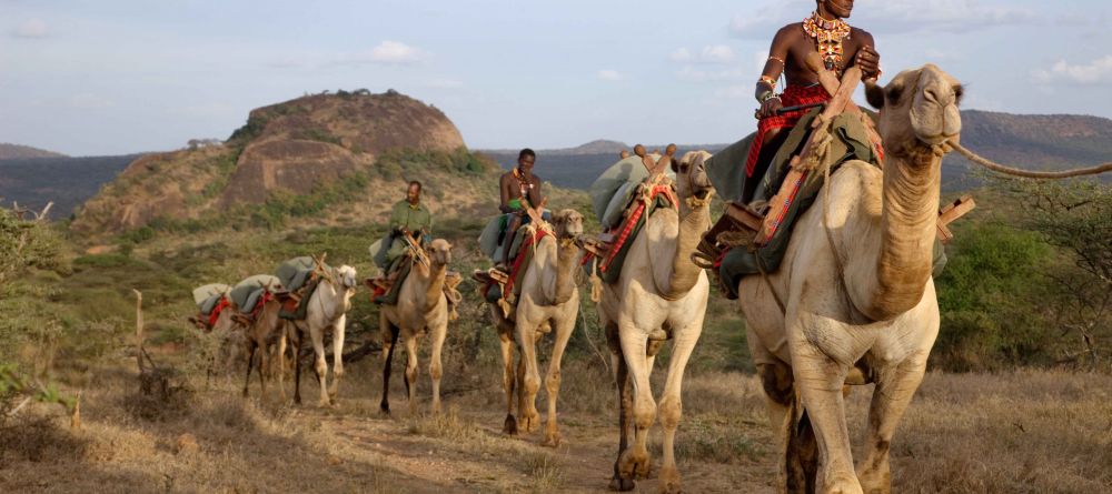 Camel back exploration at Ol Malo, Laikipia, Kenya - Image 6