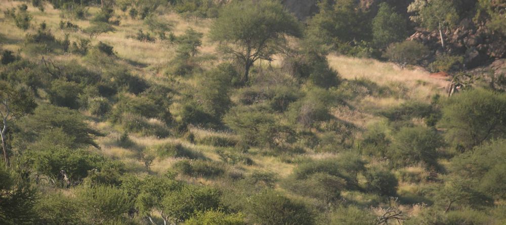 A camel back safari trek at Sabuk Lodge, Laikipia, Kenya - Image 20