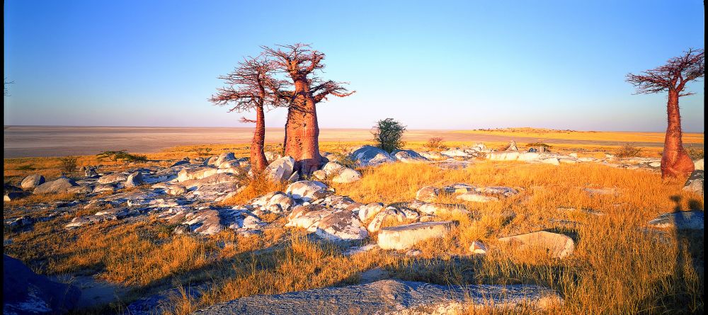 Camp Kalahari, Makgadikgadi Pans, Kalahari Desert, Botswana - Image 9