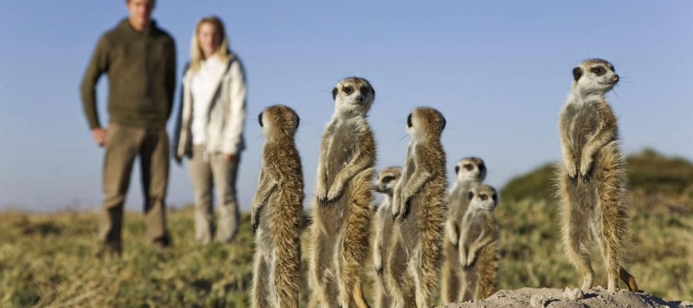 Jacks Camp, Kalahari Desert, Botswana - Image 29