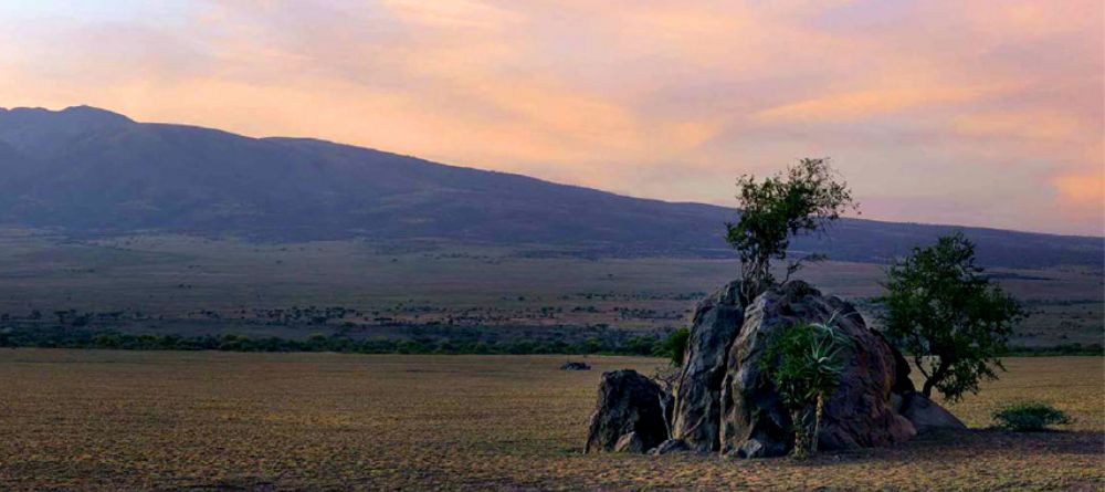 Olduvai Camp - Image 3