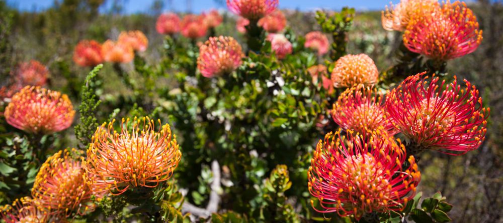 De Lande Guesthouse, Namakwaland, South Africa - Image 3