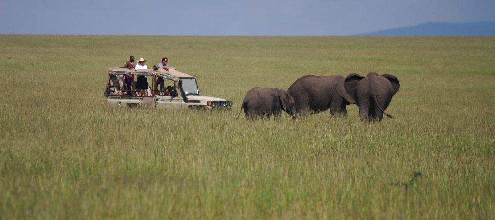 A game drive encounters a trio of elephants wandering the plains at Naibor Camp, Masai Mara National Reserve, Kenya - Image 20