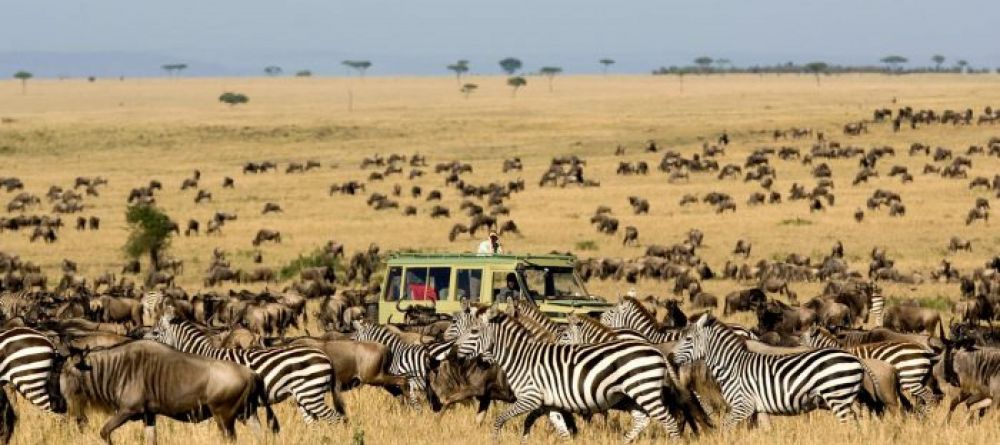 sayari-camp-activity-game-drive - Image 18
