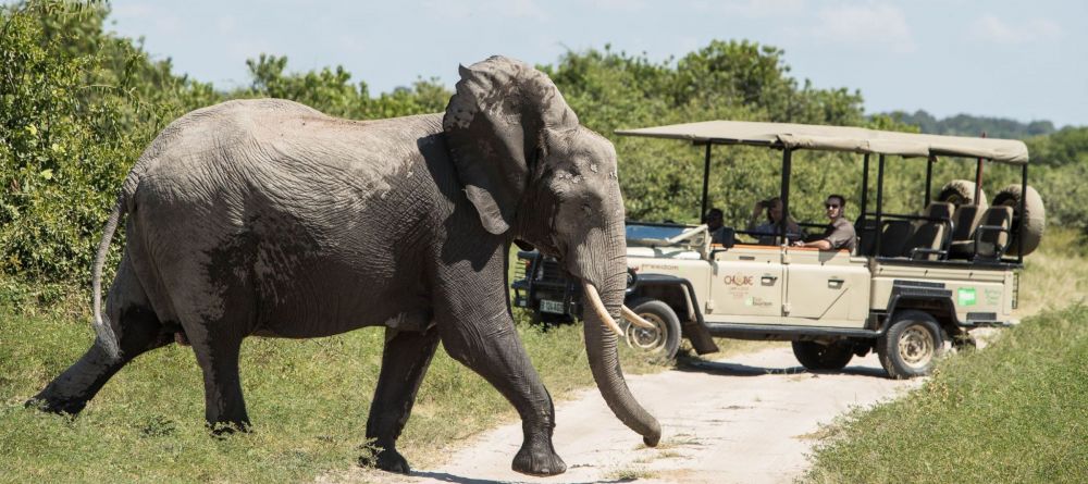 Game drive - Image 8