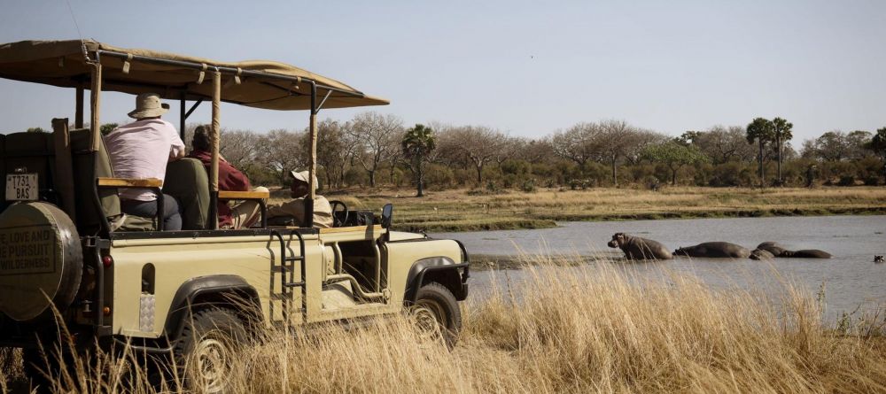 Chada Katavi, Katavi National Park, Tanzania - Image 6