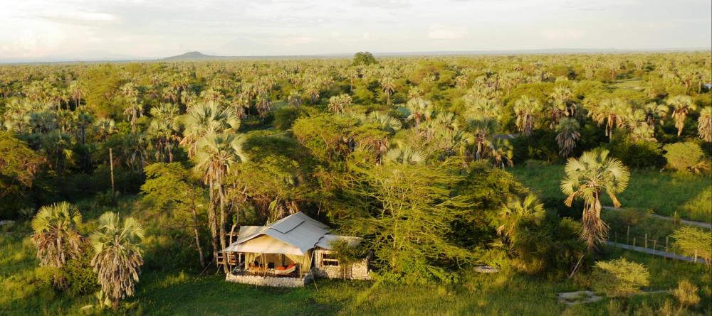 The lush setting dotted with palms at Chem Chem Lodge, Lake Manyara National Park, Tanzania - Image 20