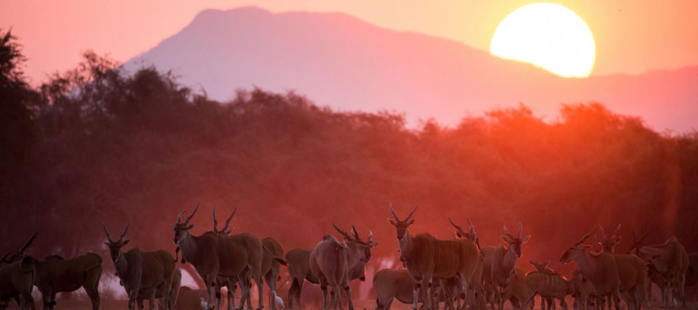Sunset - Image 9