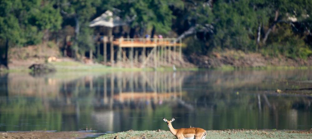 Chindeni Bush Camp, South Luangwa National Park, Zambia - Image 9