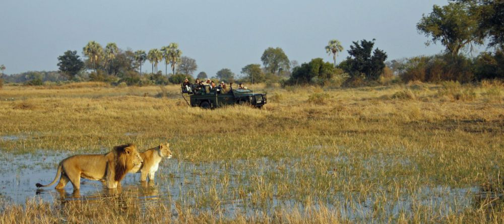 Gomoti Plains Camp, Moremi Game Reserve, Botswana - Image 14